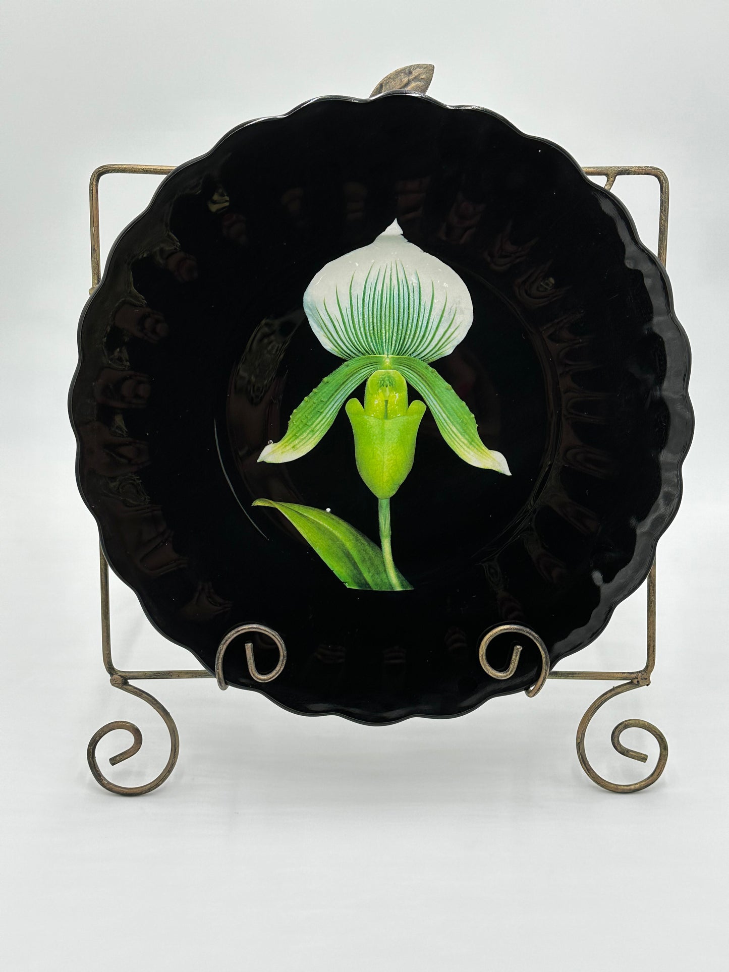 One-of-a-Kind Charger Plates in Black Lacquer with Various Orchids - 8 Plates in TOTAL "Splendor under Glass"