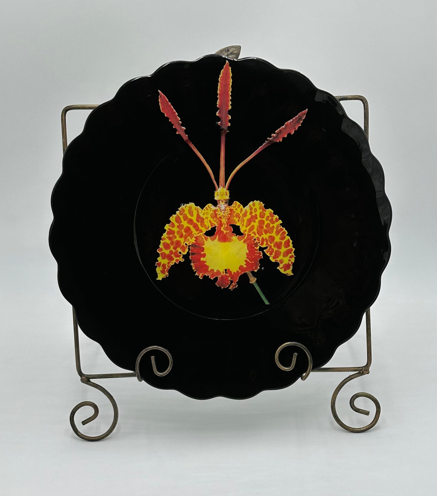 One-of-a-Kind Charger Plates in Black Lacquer with Various Orchids - 8 Plates in TOTAL "Splendor under Glass"