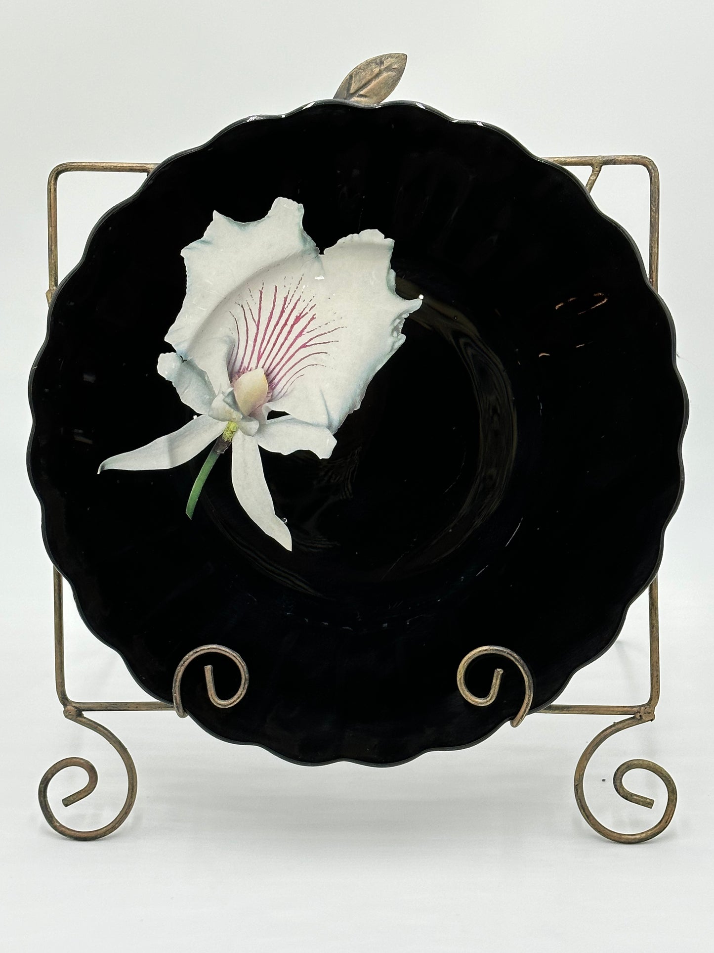 One-of-a-Kind Charger Plates in Black Lacquer with Various Orchids - 8 Plates in TOTAL "Splendor under Glass"