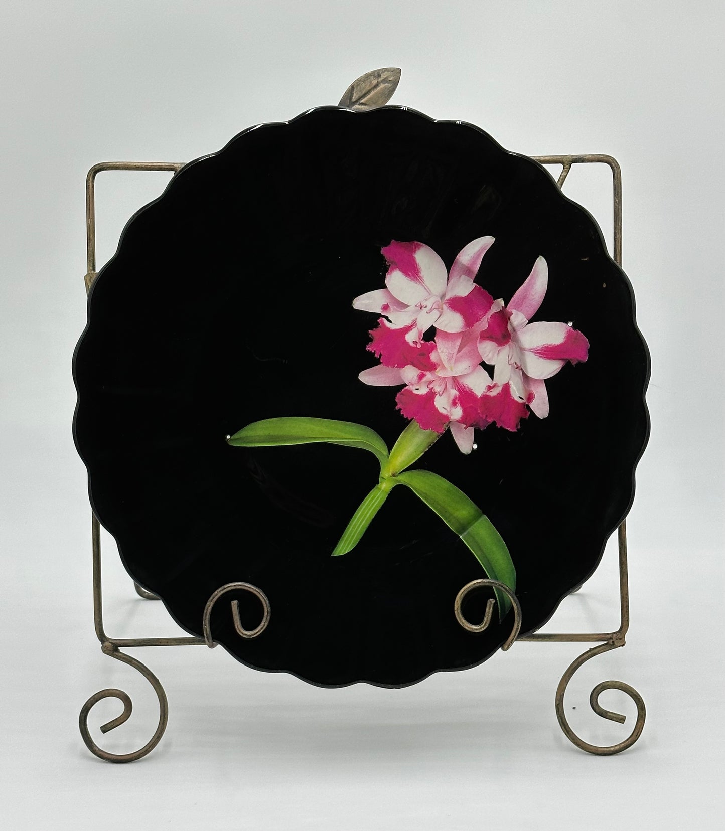 One-of-a-Kind Charger Plates in Black Lacquer with Various Orchids - 8 Plates in TOTAL "Splendor under Glass"