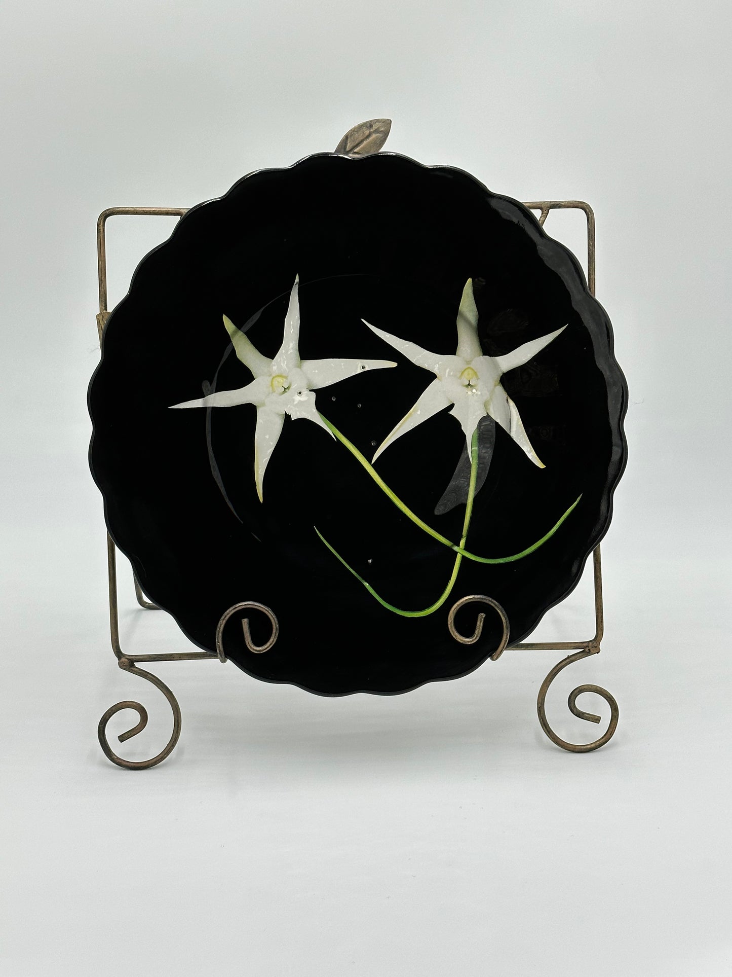 One-of-a-Kind Charger Plates in Black Lacquer with Various Orchids - 8 Plates in TOTAL "Splendor under Glass"