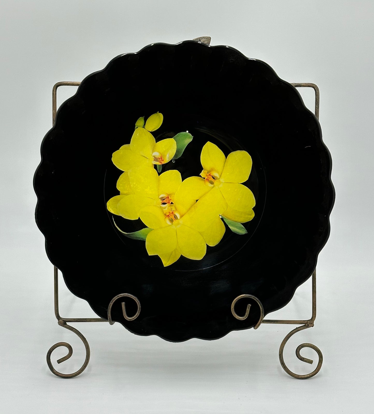 One-of-a-Kind Charger Plates in Black Lacquer with Various Orchids - 8 Plates in TOTAL "Splendor under Glass"
