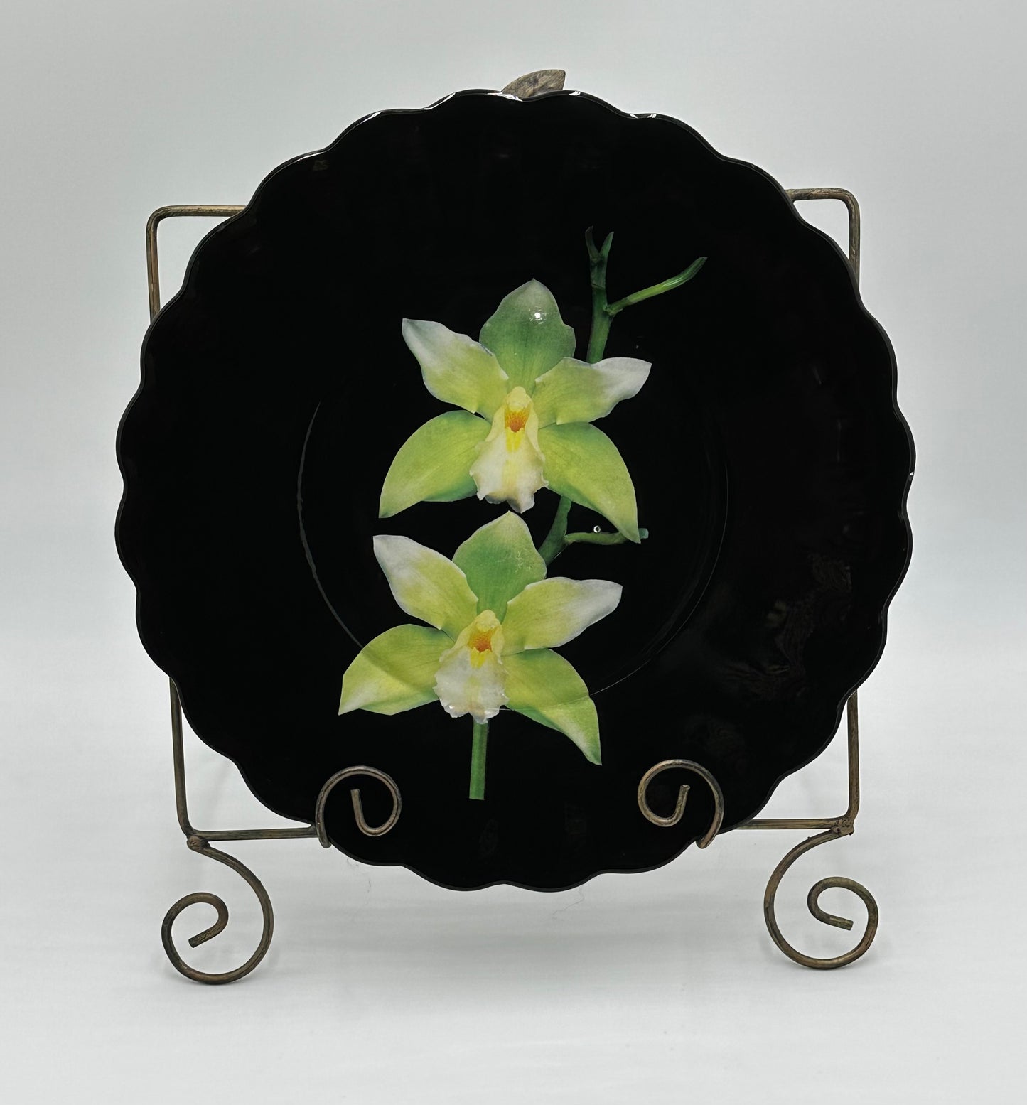 One-of-a-Kind Charger Plates in Black Lacquer with Various Orchids - 8 Plates in TOTAL "Splendor under Glass"