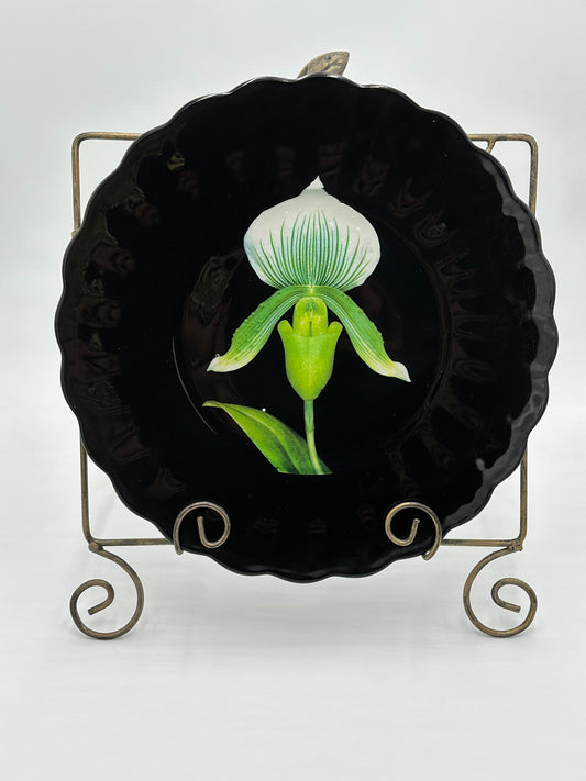 One-of-a-Kind Charger Plates in Black Lacquer with Various Orchids -  8 Plates in TOTAL                                "Splendor under Glass"