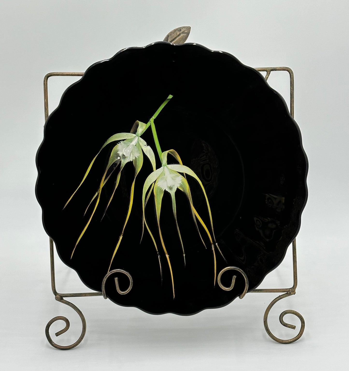 One-of-a-Kind Charger Plates in Black Lacquer with Various Orchids -  8 Plates in TOTAL                                "Splendor under Glass"