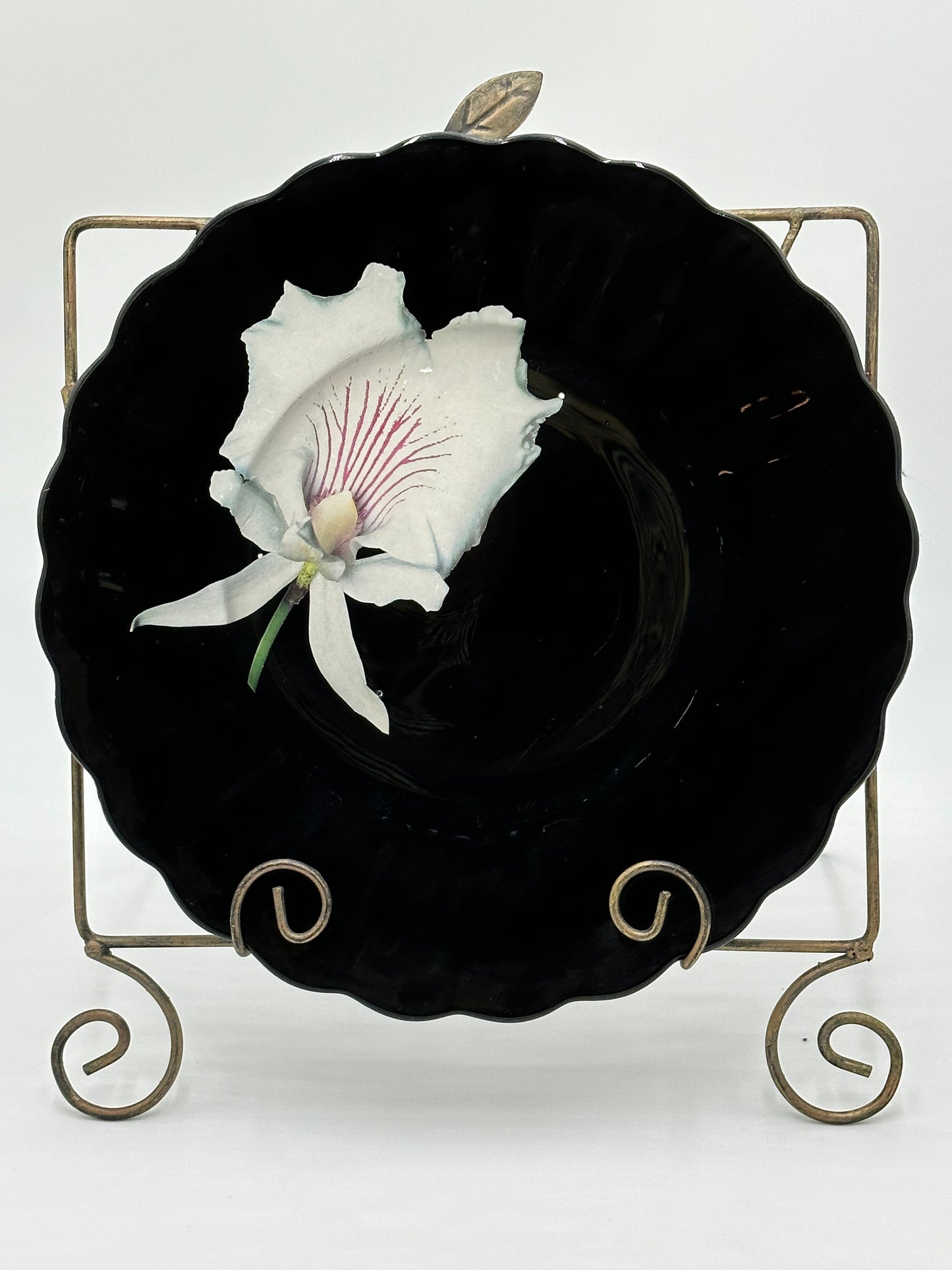 One-of-a-Kind Charger Plates in Black Lacquer with Various Orchids -  8 Plates in TOTAL                                "Splendor under Glass"